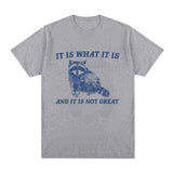 It Is What It Is and It Is Not Great T Shirt Funny Raccoon