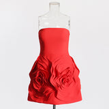 Women Dresses Spring Dress Short Skirt (Qymy0409)