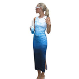 Women Dresses Spring round Neck Pleated Pullover Dress (Bla0420)