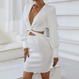 Women Dress Sexy V-neck Hollow Sheath Dress Skirt
