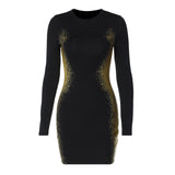Women Dresses Spring Sheath Long Sleeve Dress