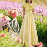 Women Dresses Spring V-neck Dress Long Dress (Qymy0409)
