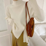 Women Knitwear Autumn and Winter Turtleneck Knitwear Sweater