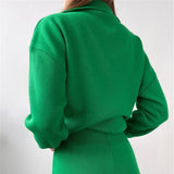 Ladies Leisure Knitwear Polo Collar Sweater Zipper and Lapel Knitwear