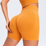 Women Yoga Sports Shorts Sports Pants Nude Feel Quick-Drying Fitness Yoga Wear