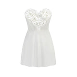 Women Dresses Sexy Dress Dress Skirt (Zns0409)