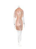 Women's Evening Gown Sexy Sheer Mesh Stitching Sequins Dress Evening Dress