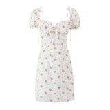 Women Dresses Spring and Summer Sexy Dress (Xds0414)