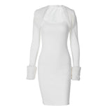 Women Dresses Spring Long Sleeve Narrow Dress