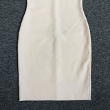 Women's Evening Dress Vest Dress Sleeveless Sheath Half Turtleneck Slim Fit Bandage One-Piece Dress Dress