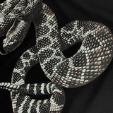 Amiri T Shirt Rattlesnake Printed Casual Round Neck