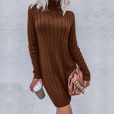 Women Knitted Sweater Autumn and Winter Turtleneck Long Sleeve Loose Sweater Dress