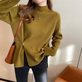 Women Knitwear Autumn and Winter Turtleneck Knitwear Sweater