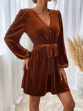 Women Dress Autumn and Winter V-neck Velvet Sexy Dress