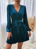 Women Dress Autumn and Winter V-neck Velvet Sexy Dress
