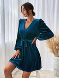 Women Dress Autumn and Winter V-neck Velvet Sexy Dress