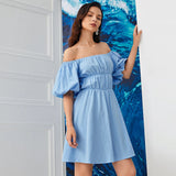 Women Dress Blue Dress Casual Dress