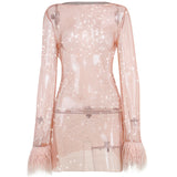 Women Dresses Knitted Mesh Long Sleeve Dress Spring Sexy Skirt