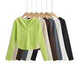 Women Sweater Knit Wear Hooded Sweater Women's Spring and Autumn Bottoming Shirt Sweater