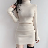 Women Dresses Autumn and Winter Turtleneck Black Knitted Dress