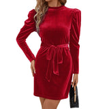 Women Dress Long Sleeve Narrow Skirt