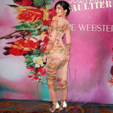Women Dresses Summer Mesh Printed Sexy round Neck Dress