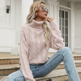 Women Knitted Sweater Autumn Twist Long Sleeve High Collar Bottoming Sweater