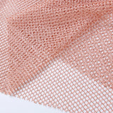 Women Dresses Mesh Dress Sexy Dress (Bla0420)