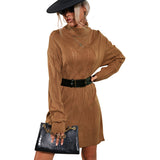 Women Knitted Sweater Fall/Winter Sweater Dress