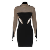 Women Dresses Winter Sexy Mesh Slim Fit Long Sleeve Narrow Dress