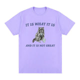 It Is What It Is and It Is Not Great T Shirt Funny Raccoon