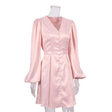 Women Dress Fall/Winter Pink V-neck Dress