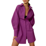 Women Dress Shirt Dress Autumn and Winter Long Sleeve A- line Dress
