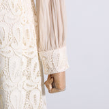 Women Dresses Spring Embroidery Mesh Dress Long Dress (Qymy0409)