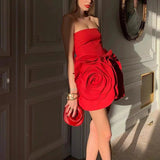 Women Dresses Spring Dress Short Skirt (Qymy0409)