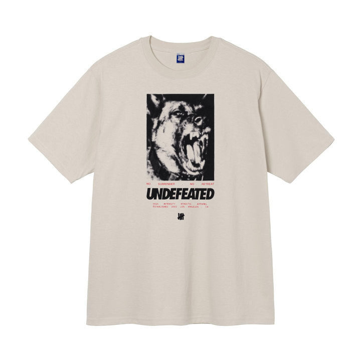 UNDEFEATED T Shirts Crew Neck Men's and Women's Loose