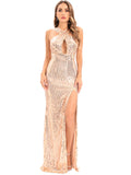 Women's Evening Gown Sexy Backless Vintage Sequins Dress Evening Dress