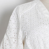 Women Dresses V-neck Lantern Sleeve Single Row Embroidery Hollow Dress (Qymy0409)