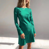 Women Dress Long Sleeve Dress Female Autumn and Winter Leisure round Neck A- line Skirt