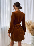 Women Dress Autumn and Winter V-neck Velvet Sexy Dress