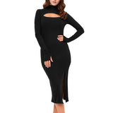Women Dress Fall/Winter Wine Red Turtleneck Knitting Dress