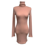 Women Dresses Turtleneck Knitting Dress Autumn and Winter Long Sleeve Narrow Short Skirt