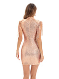 Women's Evening Gown Sexy Sheer Mesh Stitching Sequins Dress Evening Dress