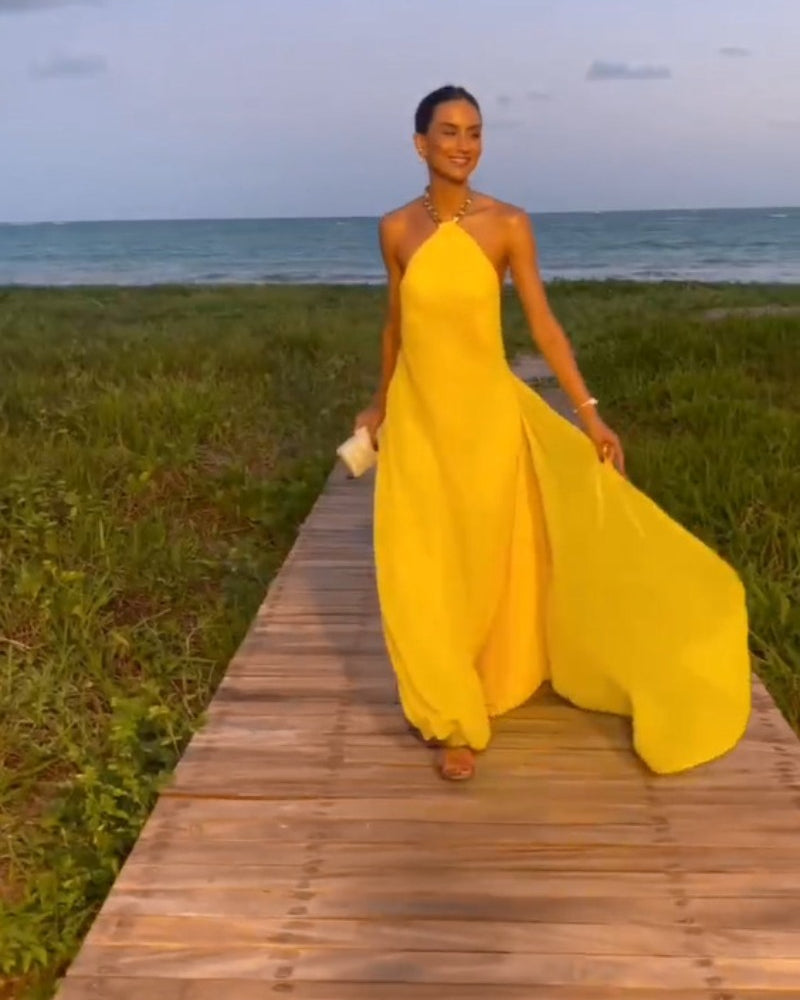 Women Dresses Summer Sexy Backless Maxi Dress (Jrm0409)