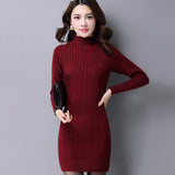 Women Maxi Dress Autumn and Winter Turtleneck Long Sleeve Long Knitted Dress