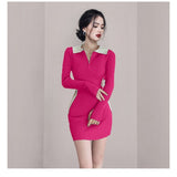 Women Maxi Dress Fall and Winter Lapels Slim Knit Sheath Dress