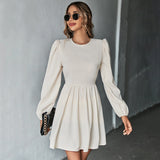 Women Dress Sexy Backless Long Sleeves Dress