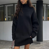 Ladies Leisure Knitwear Autumn and Winter Turtleneck Sweater Long Sleeve Knitwear