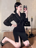 Women Maxi Dress Autumn Winter Retro Lapel Long Sleeve Mesh Dress