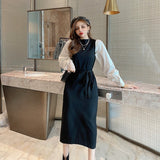 Women Maxi Dress Autumn Winter Sexy Long Sleeve Dress Knitted Sheath Dress